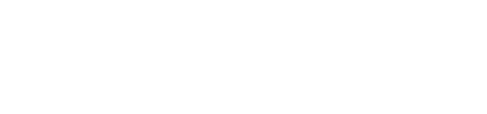 SameFast UP
